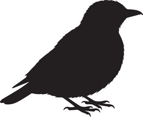 Obraz premium Antbird vector silhouette on white background