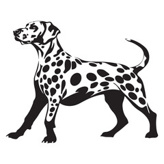Dalmatian Dog silhouette Vector illustration. dalmatian line art silhouette vector