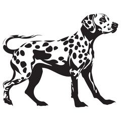 Dalmatian Dog silhouette Vector illustration. dalmatian line art silhouette vector