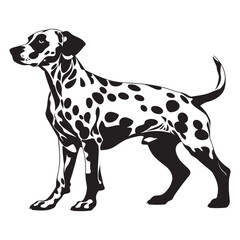 Dalmatian Dog silhouette Vector illustration. dalmatian line art silhouette vector