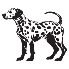 Dalmatian Dog silhouette Vector illustration. dalmatian line art silhouette vector