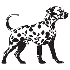 Dalmatian Dog silhouette Vector illustration. dalmatian line art silhouette vector