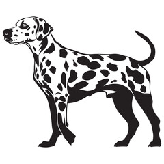 Dalmatian Dog silhouette Vector illustration. dalmatian line art silhouette vector