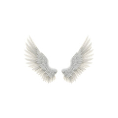 Obraz premium Soft white angel wings in a gentle pose.