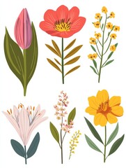 Set of blooming flower blossoms with garden branches and spring floral stems, including lily, protea, chrysanthemum, anemone, and gladiolus