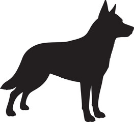Australian Cattle Dog vector silhouette on white background