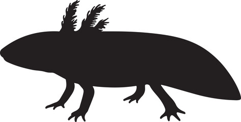 Axolotl vector silhouette on white background