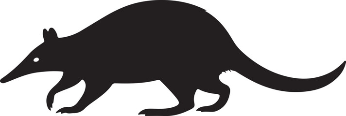 Bandicoot vector silhouette on white background