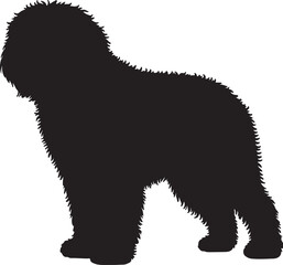 Barbado da Terceira vector silhouette on white background