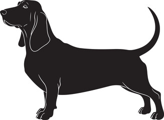 Basset Bleu de Gascogne vector silhouette on white background