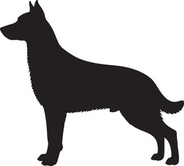 Beauceron vector silhouette on white background
