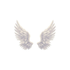 Fototapeta premium White Angel Wings with Subtle Glow