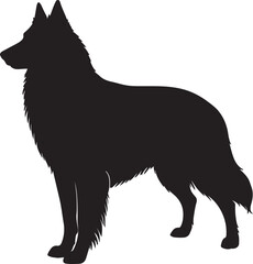 Belgian Groenendael vector silhouette on white background