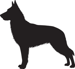 Belgian Laekenois vector silhouette on white background