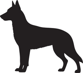 Belgian Malinois vector silhouette on white background
