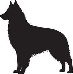 Belgian Tervuren vector silhouette on white background