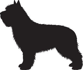 Berger Picard vector silhouette on white background