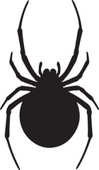 Black Widow Spider vector silhouette on white background