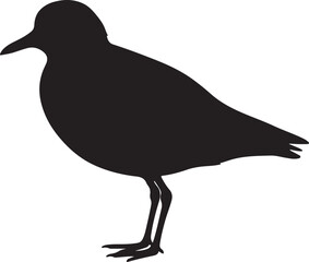 Black-bellied Plover vector silhouette on white background