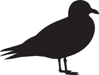 Black-legged Kittiwake vector silhouette on white background