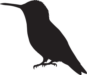Blue-headed Hummingbird vector silhouette on white background