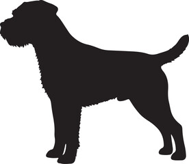 Border Terrier vector silhouette on white background