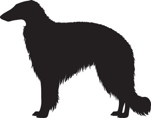 Borzoi dog vector silhouette on white background