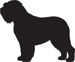 Bouvier des Flandres dog vector silhouette on white background