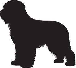 Briard dog vector silhouette on white background