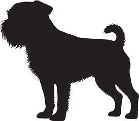 Brussels Griffon dog vector silhouette on white background