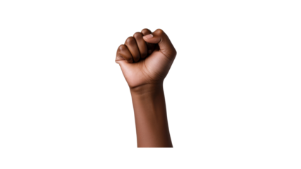 Black Fist - Power, Strength, and Resistance
