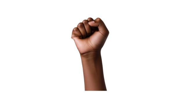 Black Fist - Power, Strength, and Resistance