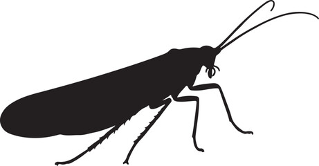 Caddisfly side view vector silhouette on white background
