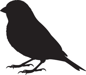 Canary side view vector silhouette on white background
