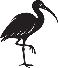 Fototapeta premium Simple ibis bird silhouette artwork, Minimal black and white ibis illustration