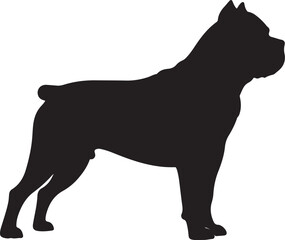 Cane Corso dog vector silhouette on white background