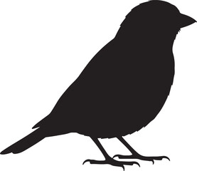 Catbird side view vector silhouette on white background