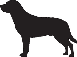 Chesapeake Bay Retriever dog vector silhouette on white background