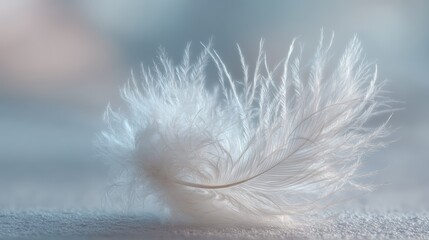 A dreamlike macro of a delicate white feather, its airy filaments drifting before a pale sky—evoking serenity, lightness, and an ethereal calm.