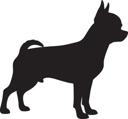 Chihuahua dog vector silhouette on white background