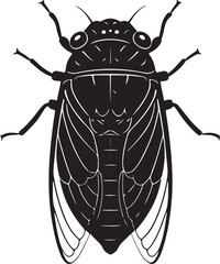 Cicada Top-down View