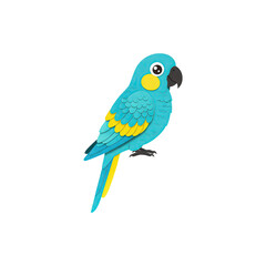 Fototapeta premium Cute blue parrot perched with happy expression and simple background