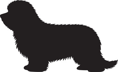 Coton de Tulear Solid Vector Silhouette