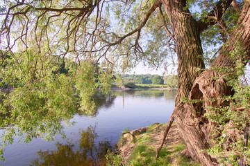Peaceful river scene in summer