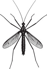 Cranefly Top View Solid Vector Silhouette