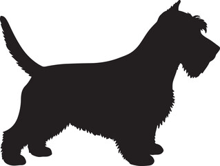 Dandie Dinmont Terrier vector silhouette on white background