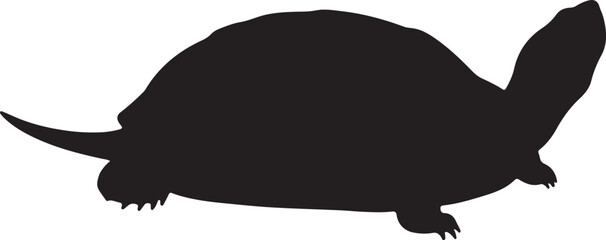 Diamondback Terrapin vector silhouette on white background