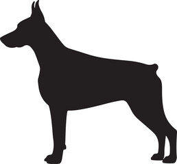 Doberman Pinscher vector silhouette on white background