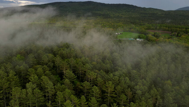  Fog Over Pine Forest in Maine Mountains