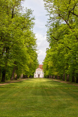 Long green alley with tall trees leading to Palac w Nieborowie. 